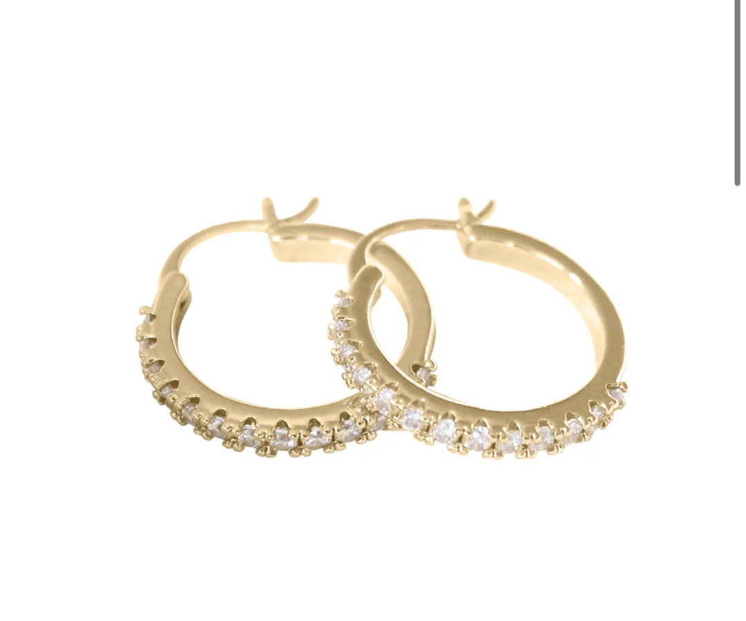 The Lane Hoop Earrings
