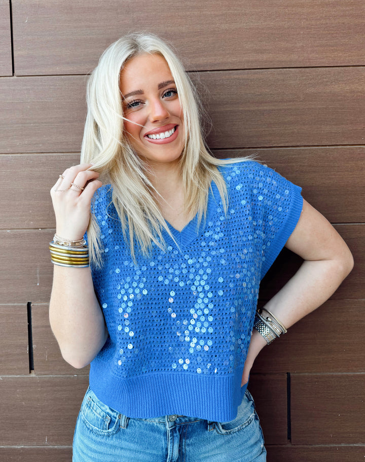 Sequin Sky VNeck Sweater Top