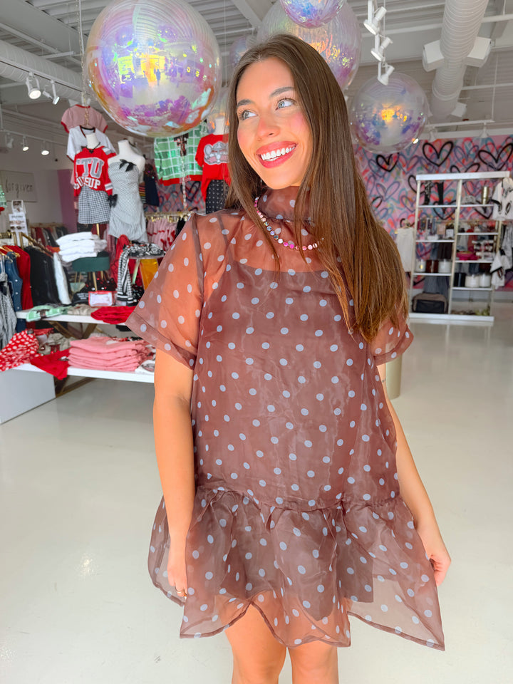 Brown & Blue Polkadot Sheer Mini Dress