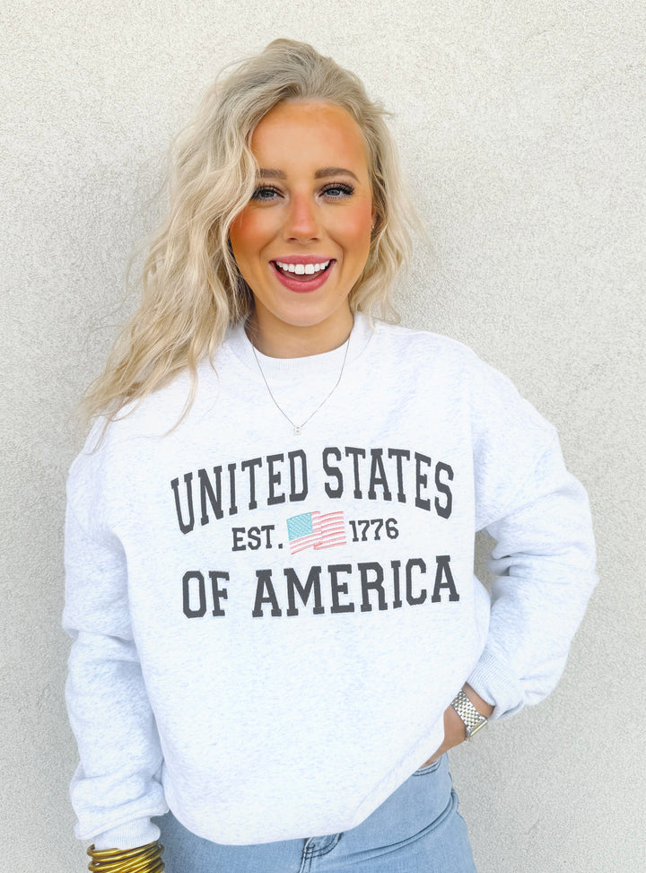 United States of America Sweatshirt in Grey