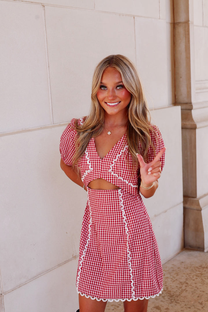 Red Gingham V Neck Mini Dress