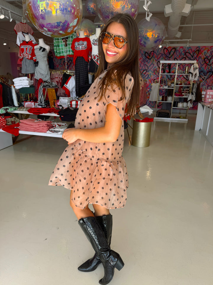 Light Brown & Black Polkadot Sheer Dress