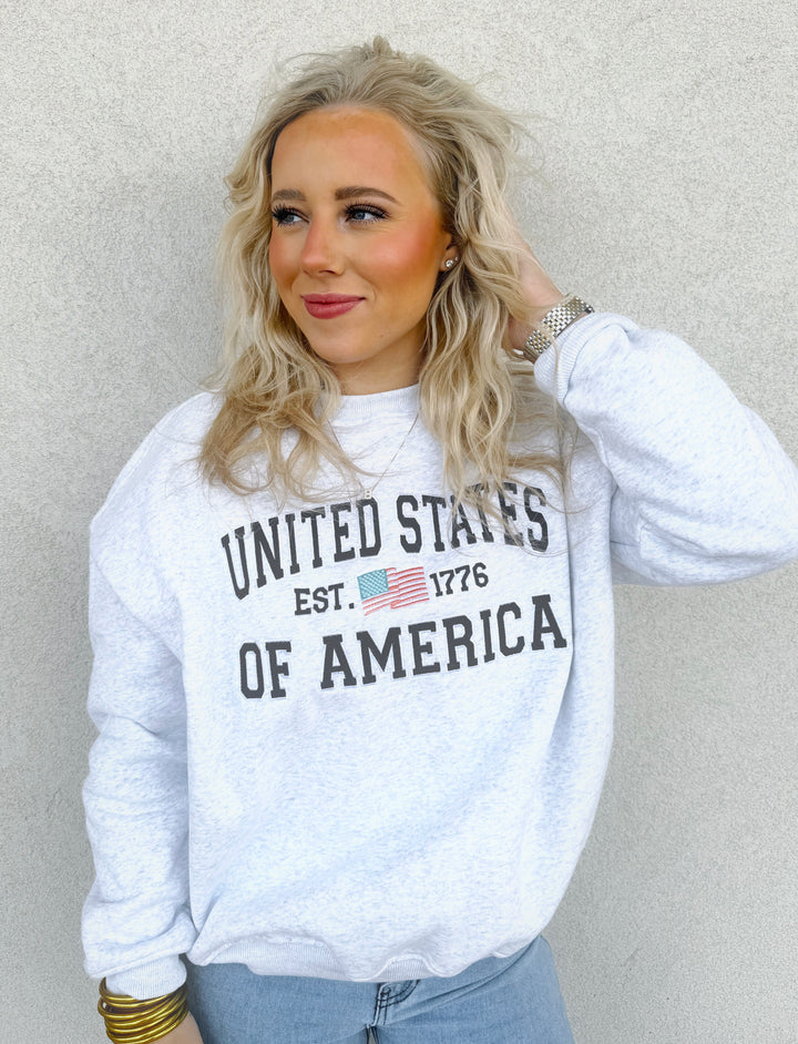 United States of America Sweatshirt in Grey