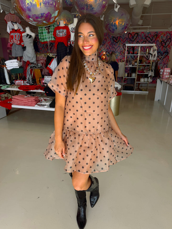 Light Brown & Black Polkadot Sheer Dress