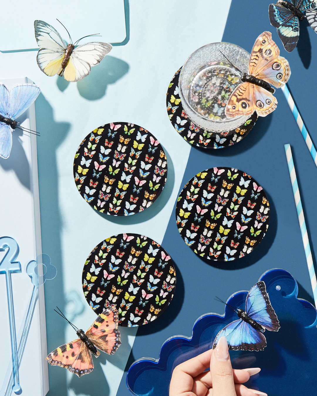 Monarch Coaster