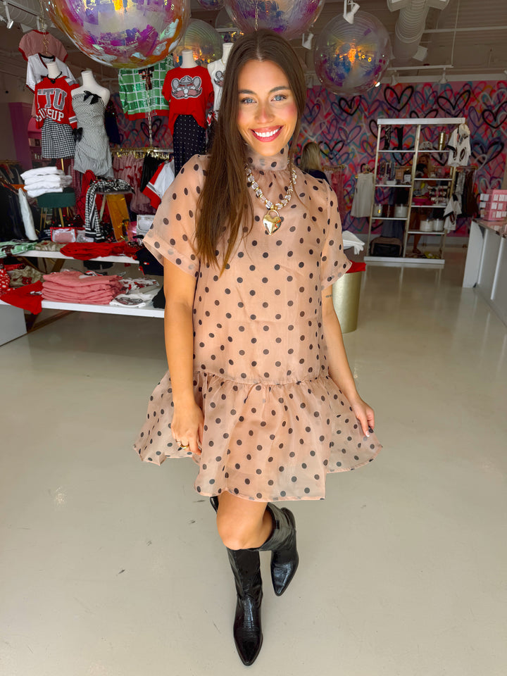 Light Brown & Black Polkadot Sheer Dress