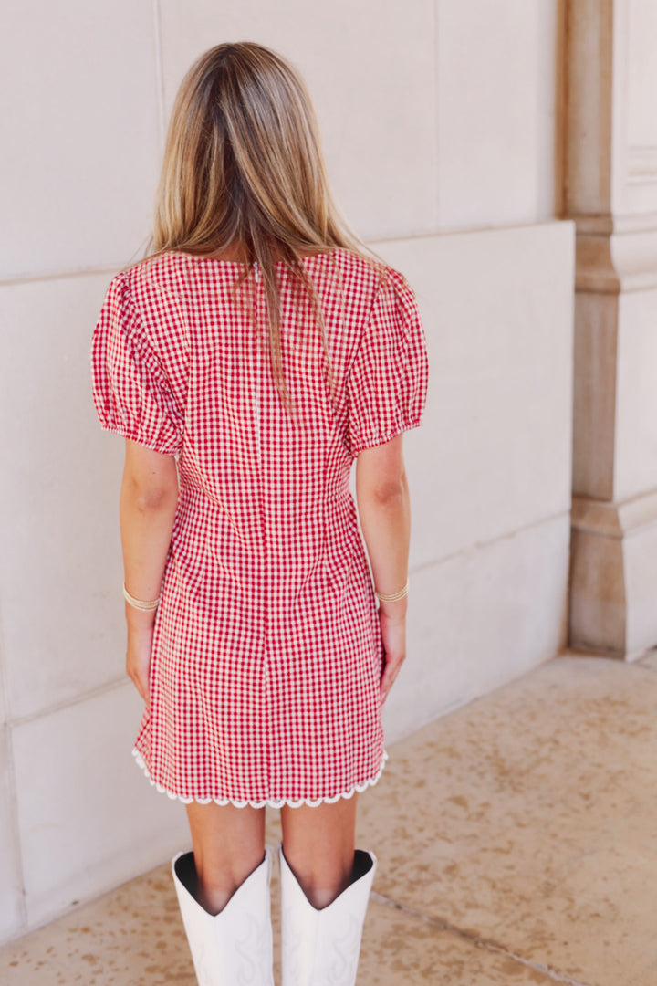 Red Gingham V Neck Mini Dress
