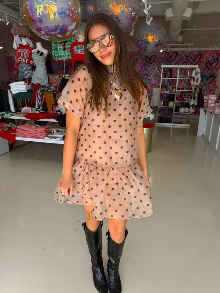 Light Brown & Black Polkadot Sheer Dress