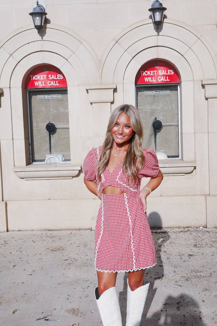 Red Gingham V Neck Mini Dress